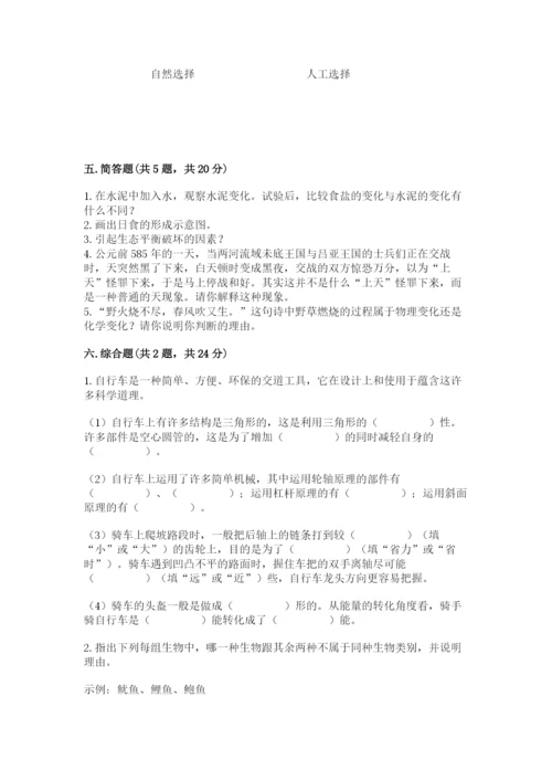 教科版六年级下册科学期末测试卷完整答案.docx