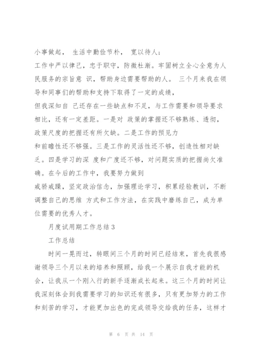 月度试用期工作总结5篇.docx