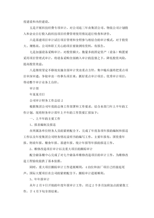 公司审计财务工作总结.docx