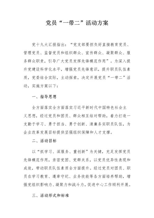 党建活动专业方案.docx