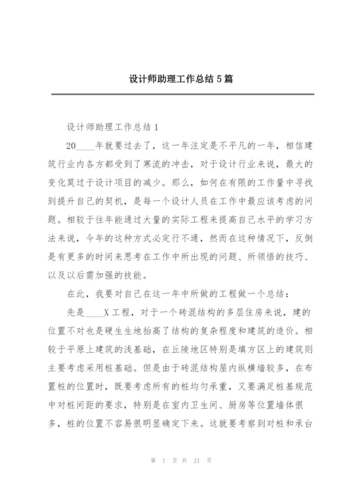 设计师助理工作总结5篇.docx