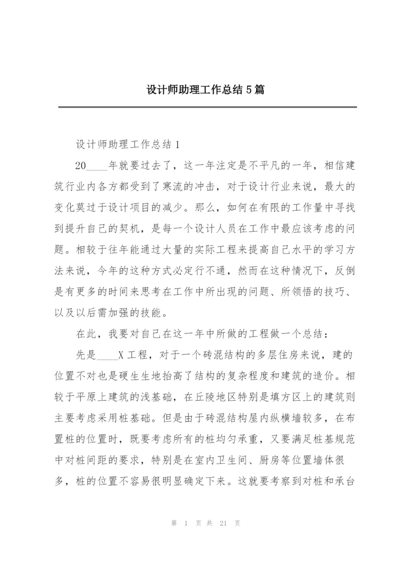 设计师助理工作总结5篇.docx