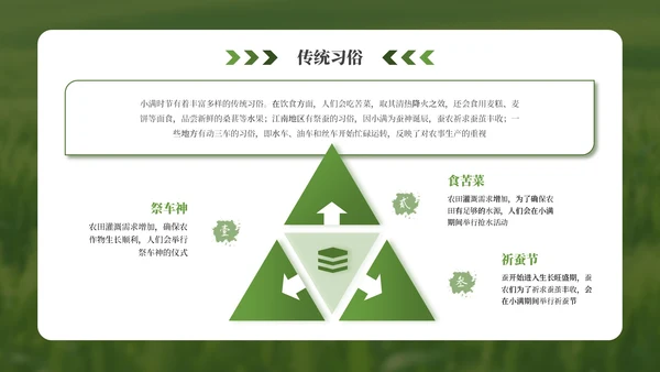 绿色小满节气介绍通用模板
