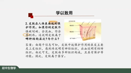 2.2.2 动物体的结构层次 课件（共24张PPT）