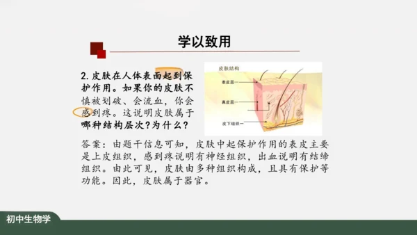 2.2.2 动物体的结构层次 课件（共24张PPT）