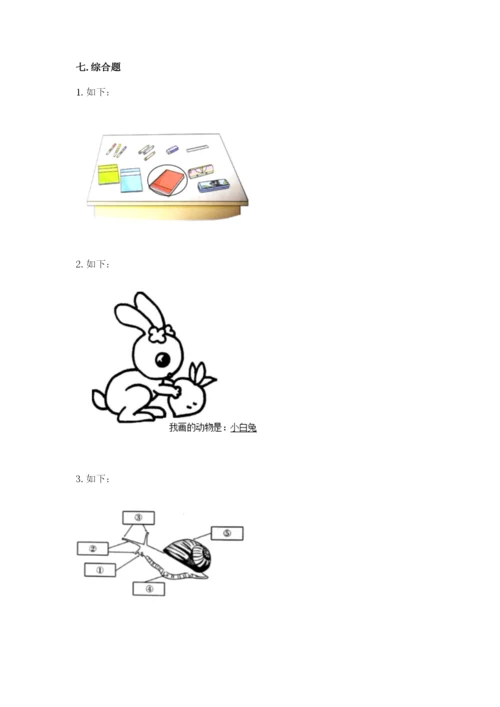教科版一年级下册科学期末测试卷附答案（培优b卷）.docx