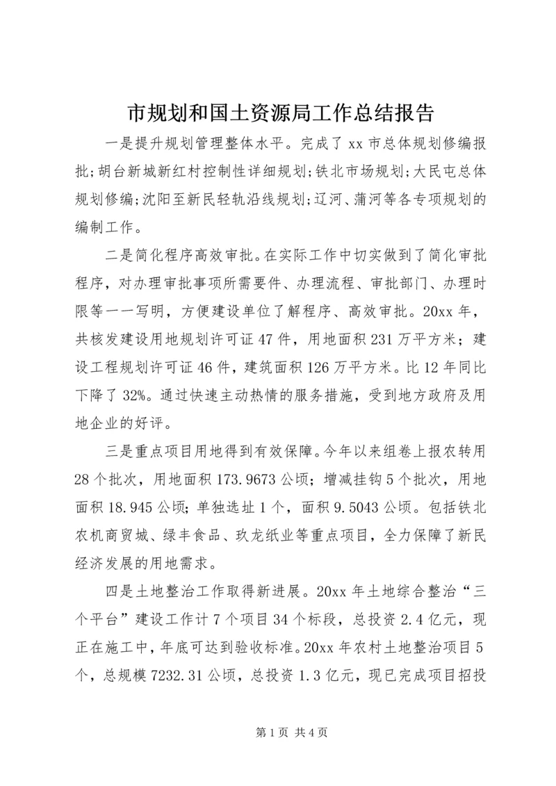 市规划和国土资源局工作总结报告.docx