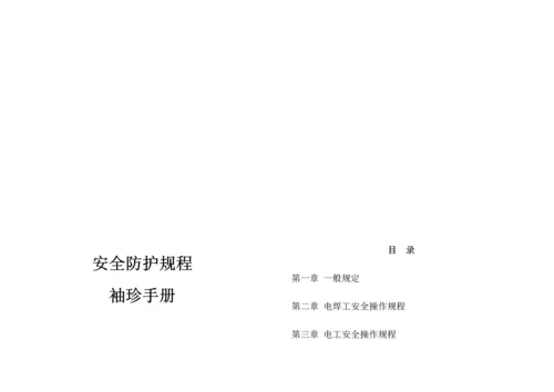 安全防护专题规程经典标准手册.docx