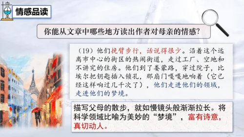 9 美丽的颜色 课件