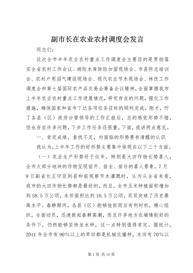 副市长在农业农村调度会发言.docx