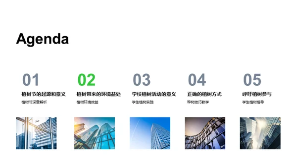 播种绿意 传承希望