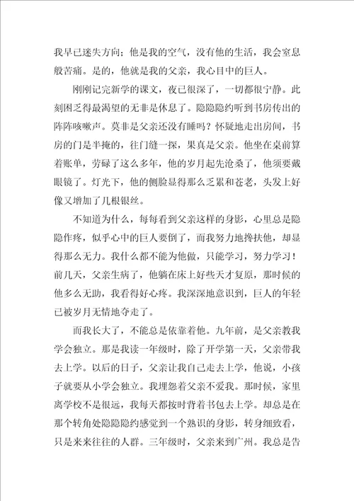 我的父亲高中作文精选4篇