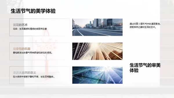 小满节气的生活韵味