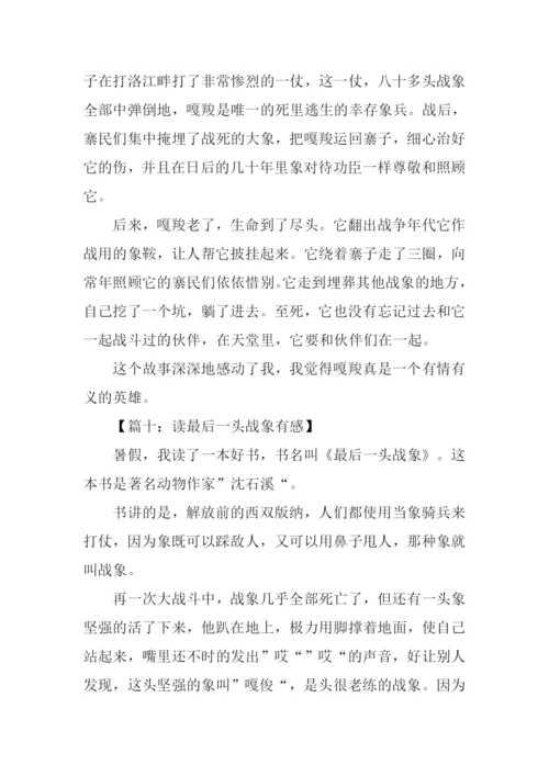 读最后一头战象有感350字.docx