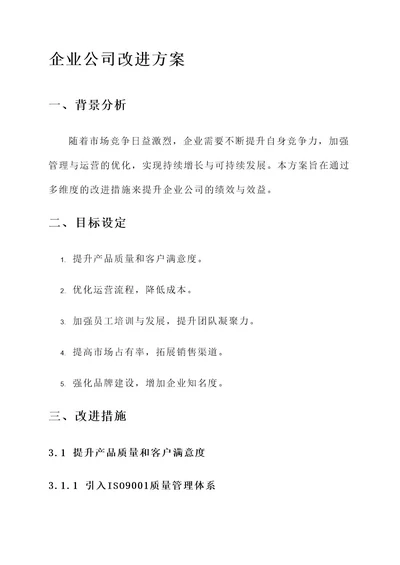 企业公司改进方案