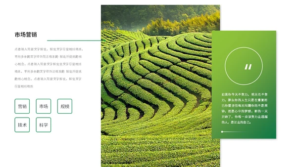 绿色简约商务农业商业计划书农业ppt模板