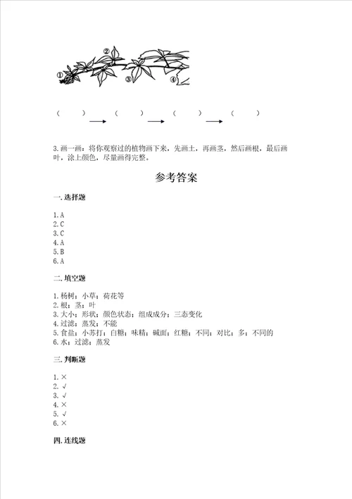 教科版科学一年级上册第一单元植物测试卷附参考答案综合卷