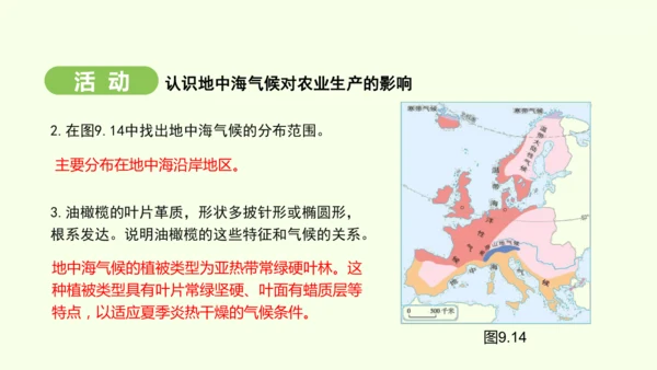 9.2 欧洲西部（课件32张）-2024-2025学年七年级地理下学期人教版(2024)