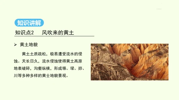 6.3 世界最大的黄土堆积区——黄土高原 第1课时 文明的摇篮 风吹来的黄土（课件31张）- 人教版