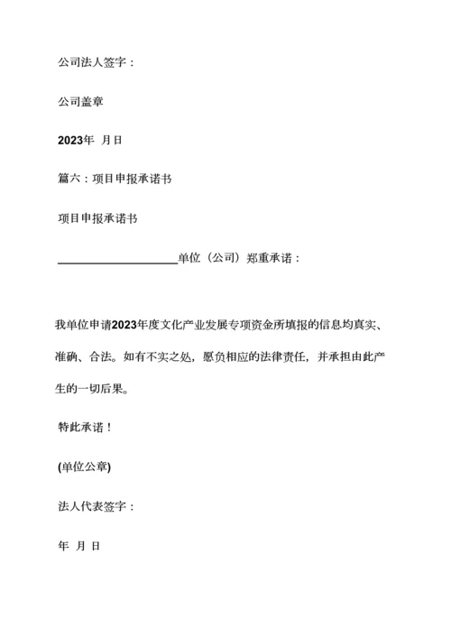 企业项目承诺书范文.docx