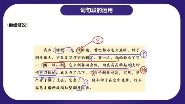 统编版三年级语文下学期期中核心考点集训第四单元（复习课件）