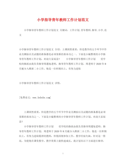 精编之小学指导青年教师工作计划范文.docx