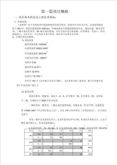 “金桥湾年度执行策划案1