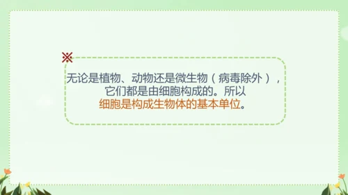 人教版（2024）七年级上册1.2.3 动物细胞 课件(共26张PPT)
