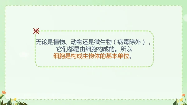 人教版（2024）七年级上册1.2.3 动物细胞 课件(共26张PPT)