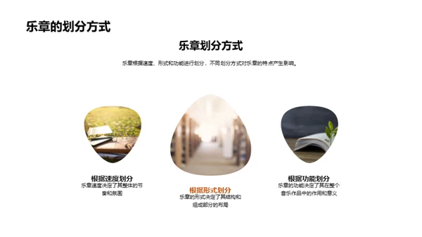 音乐魅力解析