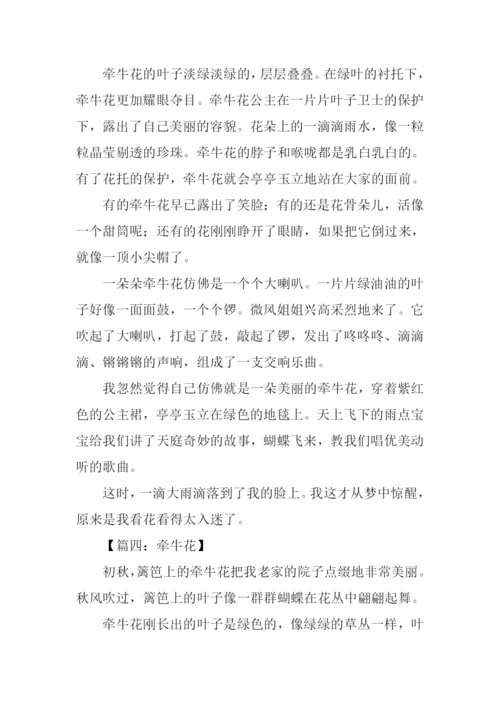 牵牛花的作文400字.docx