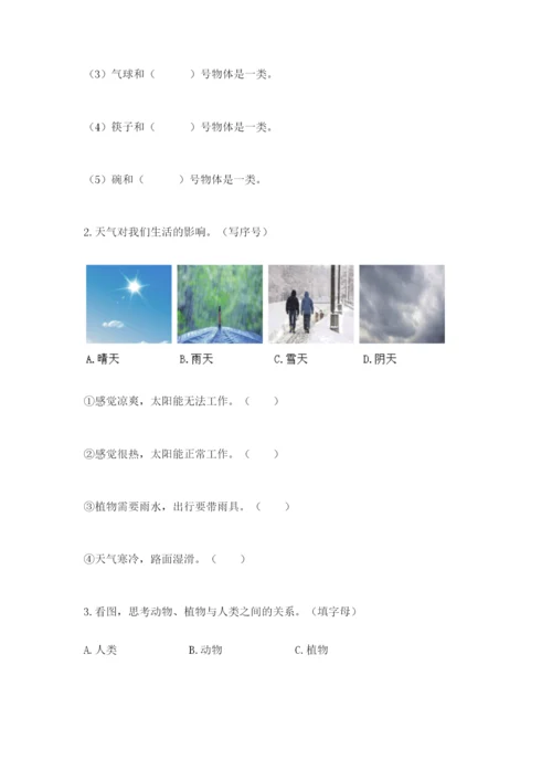 教科版二年级上册科学期末测试卷附完整答案【历年真题】.docx