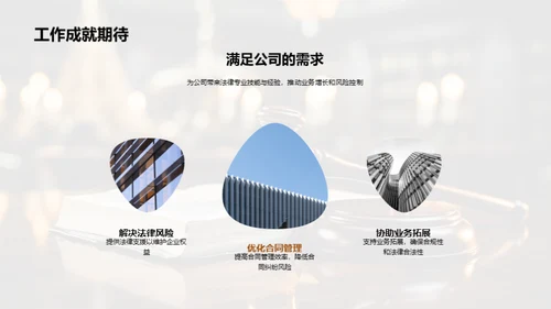 法律职业全景解析