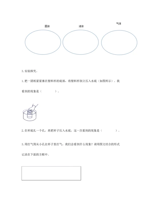 教科版三年级上册科学《期末测试卷》【考试直接用】.docx