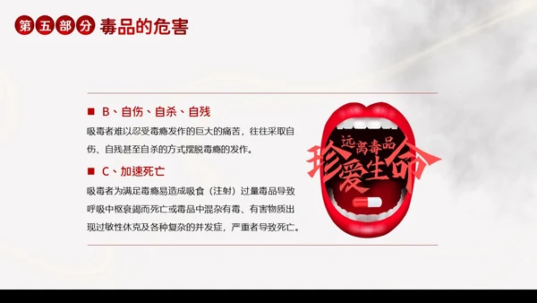 国际禁毒日珍爱生命远离毒品禁毒教育PPT课件禁毒日（禁毒）