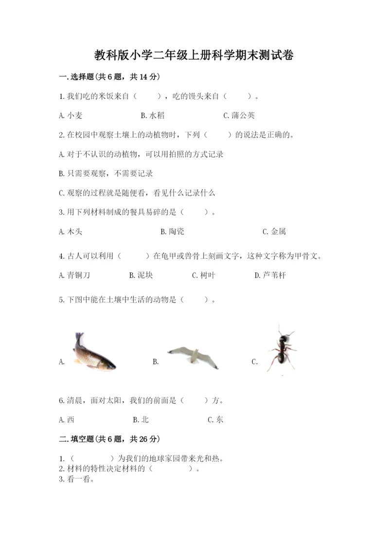 教科版小学二年级上册科学期末测试卷精品【实用】.docx