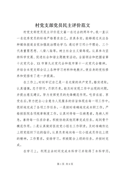 村党支部党员民主评价范文.docx