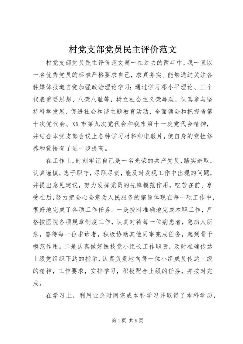 村党支部党员民主评价范文.docx