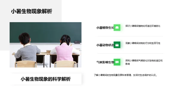 小暑生态解读