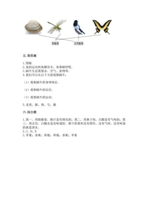 教科版一年级下册科学期末测试卷及参考答案.docx