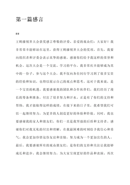 王鹤棣视界大会获奖感言