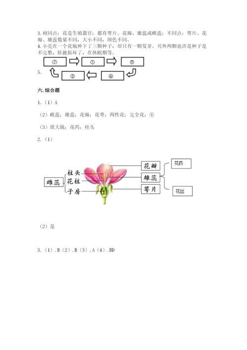 科学四年级下册第一单元植物的生长变化测试卷精品【考试直接用】.docx