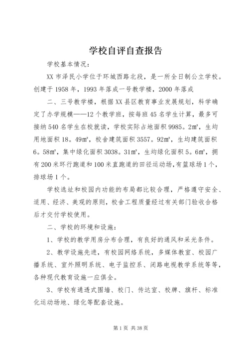 学校自评自查报告.docx