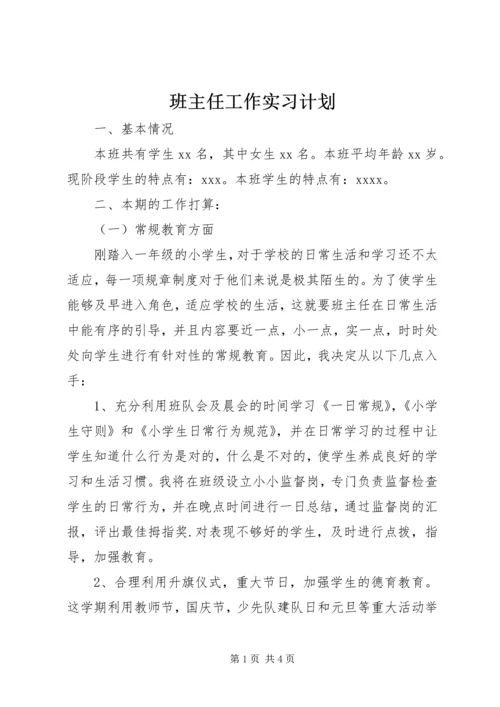 班主任工作实习计划.docx