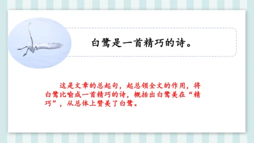 1《白鹭》课件