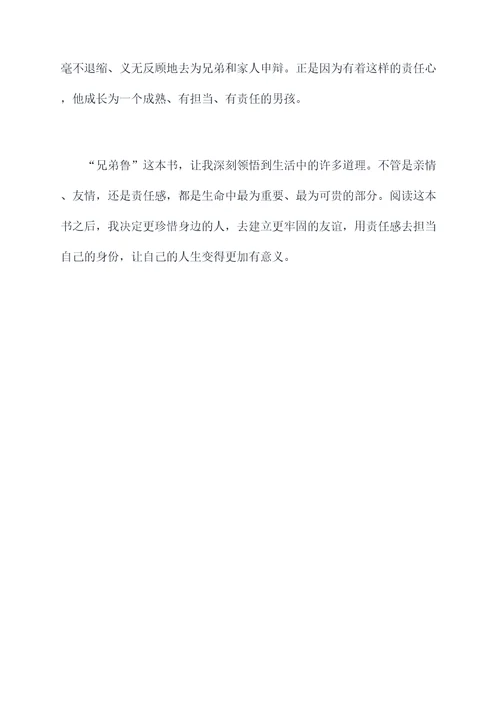 兄弟鲁读后感