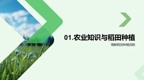稻田科学种植