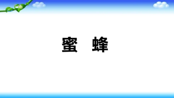 14《蜜蜂》课件