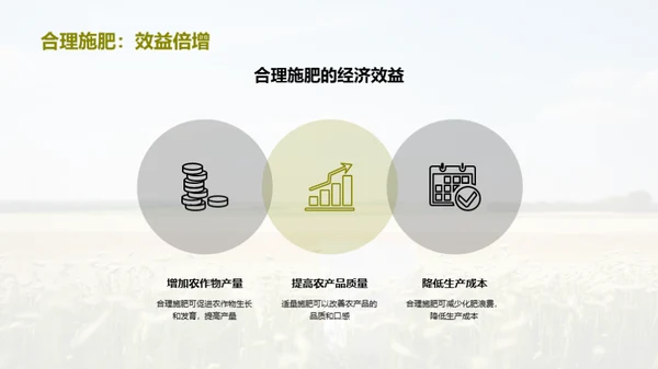 绿色农业：化肥管理