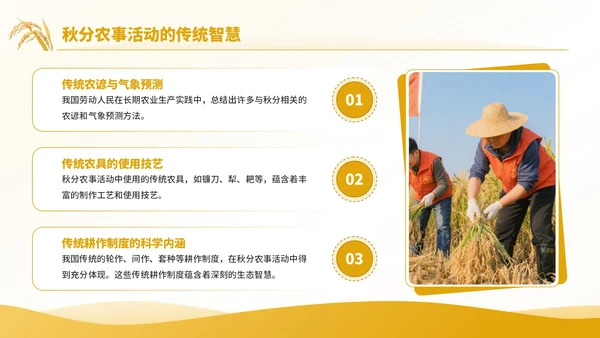 黄色商务风秋分农事活动农业培训活动PPT模板